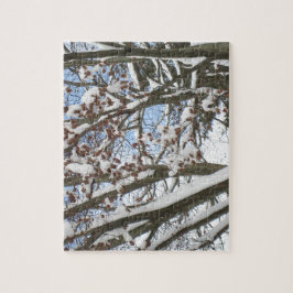 Schnee auf einem japanischen Ahorn —