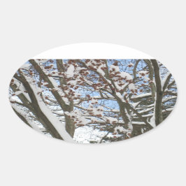 Schnee auf einem japanischen Ahorn — Ovaler Aufkleber