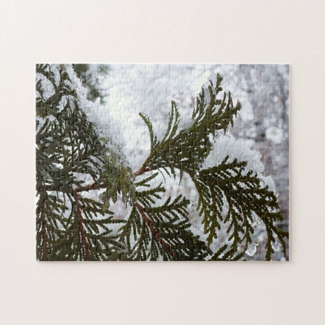 Schnee auf Evergreen Branchen (Horizontal)