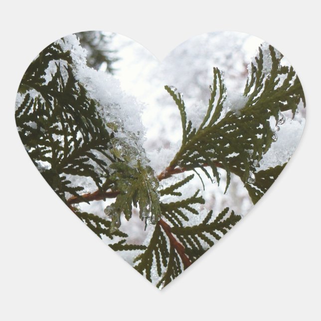Schnee auf Evergreen Branchen Herz-Aufkleber (Vorderseite)