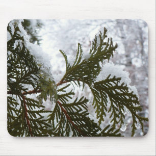 Schnee auf Evergreen Branchen Mousepad