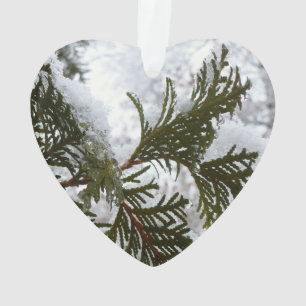 Schnee auf Evergreen Branchen Ornament