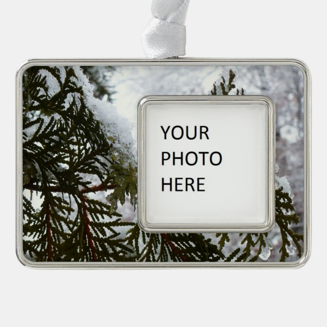 Schnee auf Evergreen Branchen Rahmen-Ornament Silber (Vorderseite)