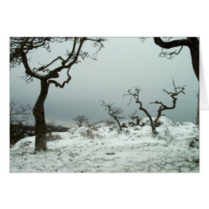 Schnee auf Garry-Eichen-Wiese