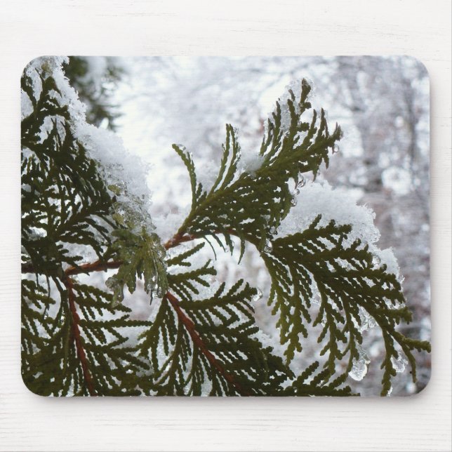 Schnee auf immergrünen Zweigen Mousepad (Vorne)