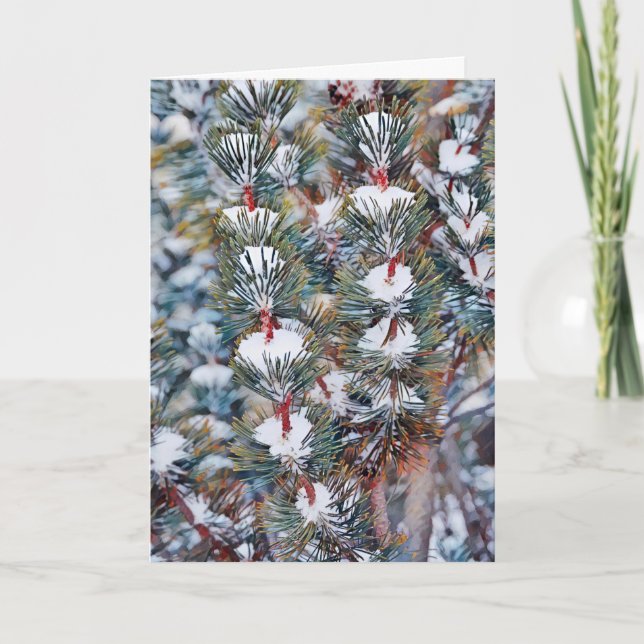 Schnee auf Pine Branches Art Weihnachtskarte Karte (Vorderseite)