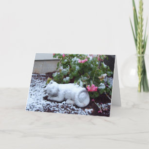 Schnee bedeckte Katzen-Karte Karte