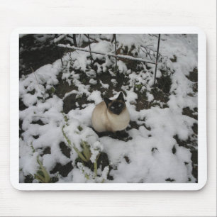 Schnee-Bilder, Schnee-Katze Mousepad