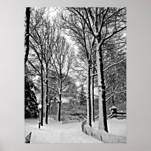 Schnee Central Park 2010 - CIMG6447-a Poster