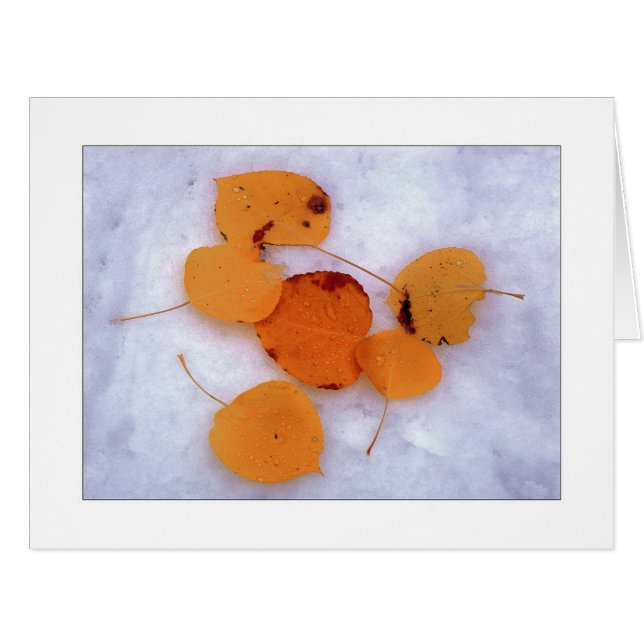 "Schnee-Espen " (Vorderseite (Horizontal))