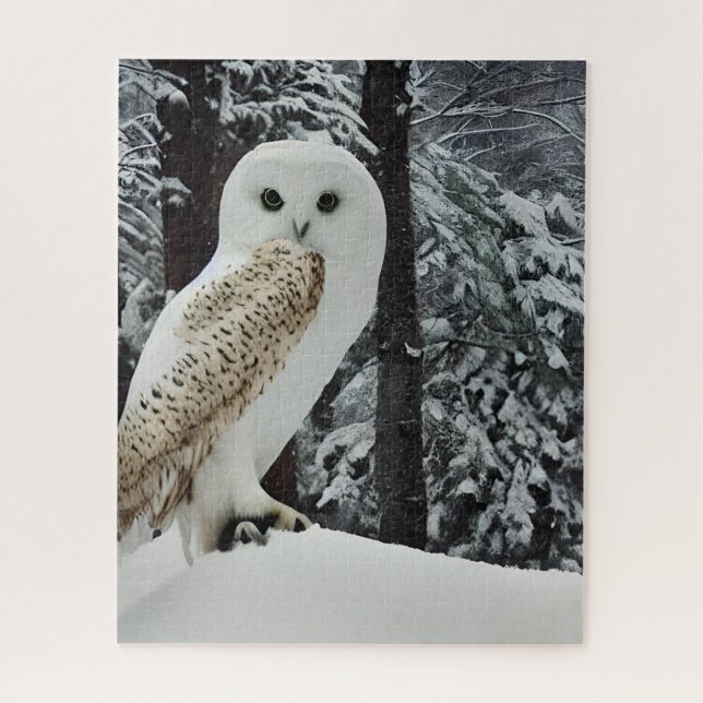 Schnee-Eule  (Vertikal)