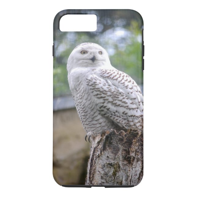 Schnee-Eule Case-Mate iPhone Hülle (Rückseite)