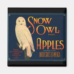 Schnee-Eulen-Apfel-Frucht-Kisten-Aufkleber Magn Magnet