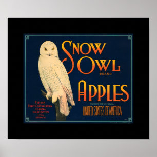 Schnee-Eulen-Apple-Frucht-Kisten-Aufkleber KRW Poster