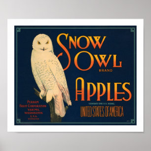 Schnee-Eulen-Marken-Äpfel Poster
