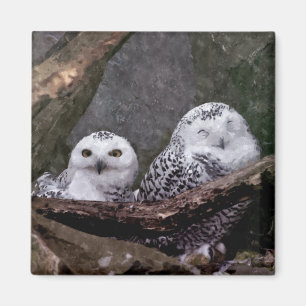 Schnee-Eulen-Paar-Wald-Wildlife-Kunst Magnet