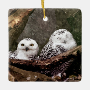 Schnee-Eulen-Paar-Wald-Wildtier-Kunst Keramikornament