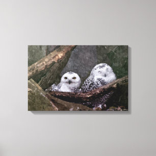 Schnee-Eulen-Paar-Wald-Wildtier-Kunst Leinwanddruck