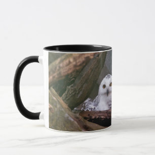 Schnee-Eulen-Paar-Wald-Wildtier-Kunst Tasse