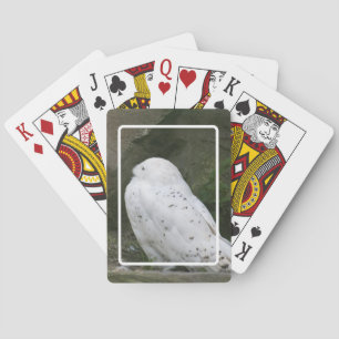 Schnee-Eulen-Spielkarten Spielkarten