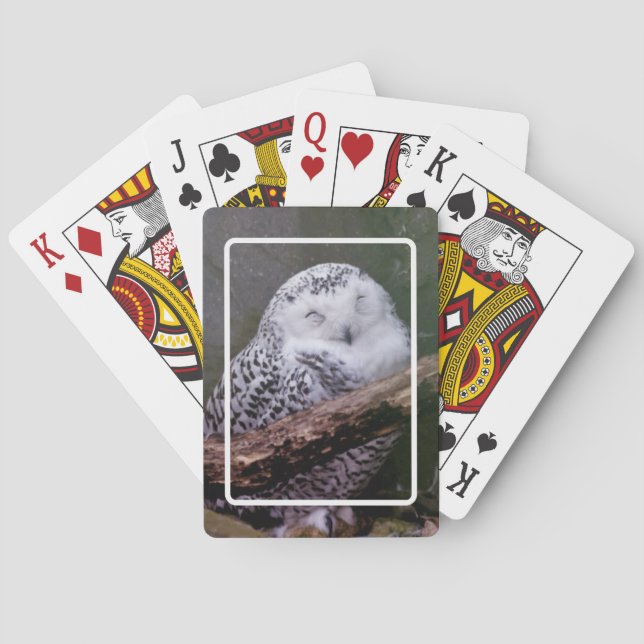Schnee-Eulen-Spielkarten Spielkarten (Rückseite)