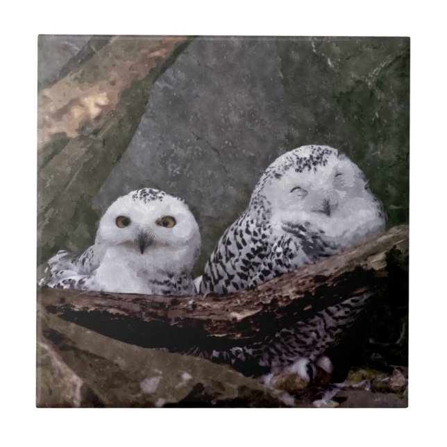 Schnee-Eulenpaar Wald-Wildtier-Kunst Fliese (Vorderseite)