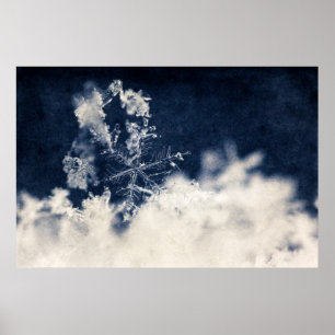 Schnee-Flocke Poster