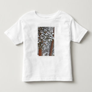 Schnee füllt die Äste der Ponderosa-Kiefern Kleinkind T-shirt