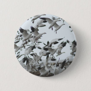 Schnee-Gans-Migration Button
