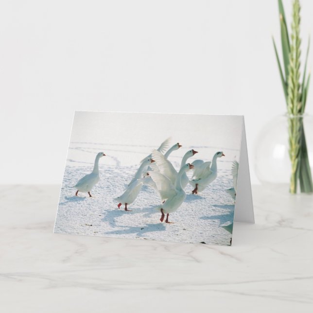 Schnee-Gans-Weihnachtsfeiertags-Weihnachtsfreier Feiertagskarte (Vorderseite)