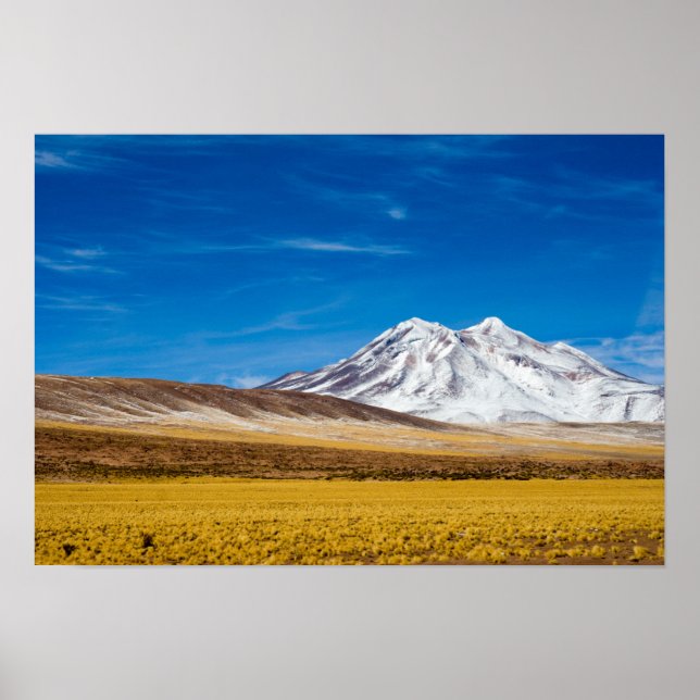 Schnee - Gebirge und Puna Grasland Poster (Vorne)