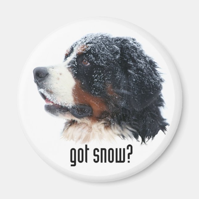 Schnee got? Bernese Magnet (Vorne)