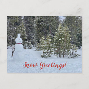 Schnee Grüße aus Tahoe City! Postkarte
