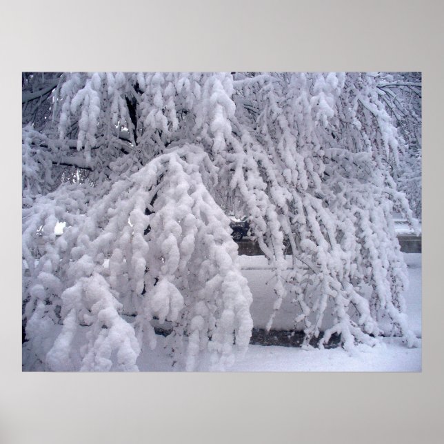 Schnee im April Poster (Vorne)