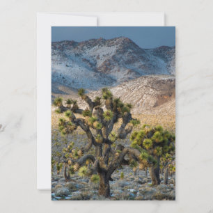Schnee im Death Valley Dankeskarte