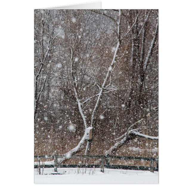 Schnee im Park (Vorne)