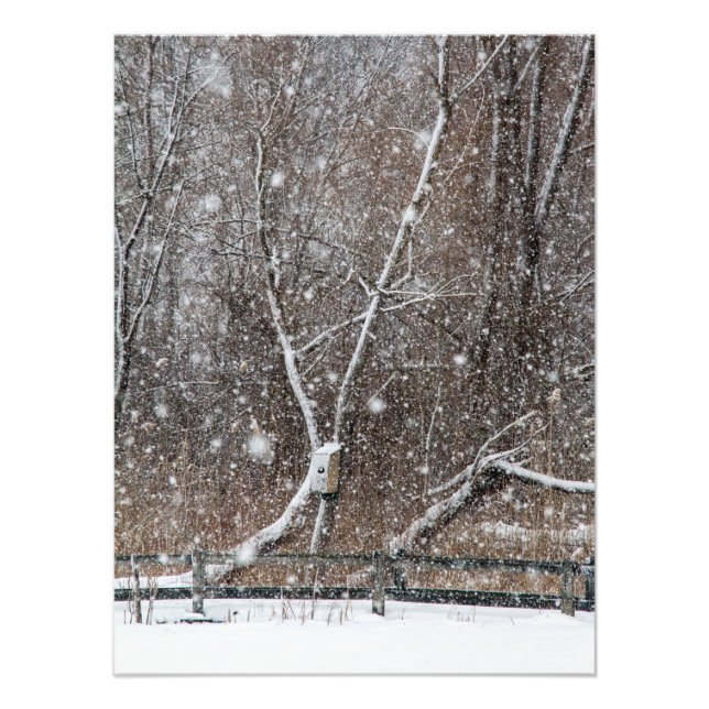Schnee im Park Fotodruck (Vorne)