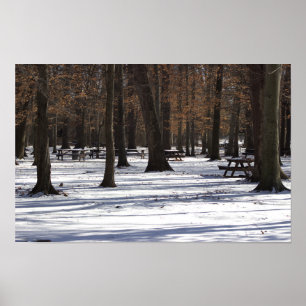 Schnee im Park Poster