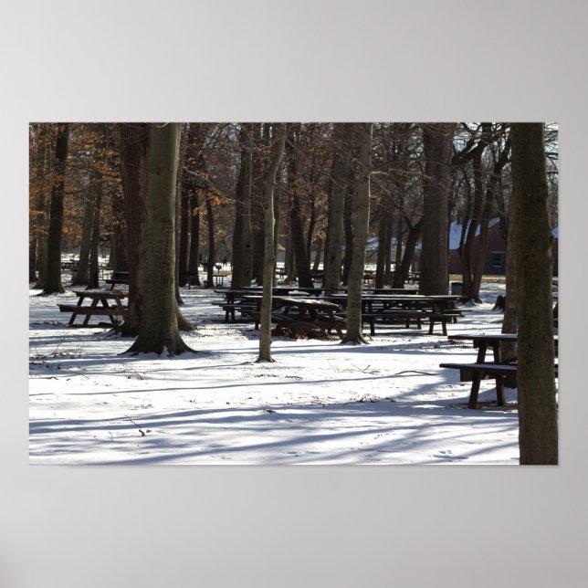 Schnee im Park Poster (Vorne)