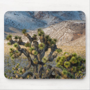 Schnee im Todestal Mousepad