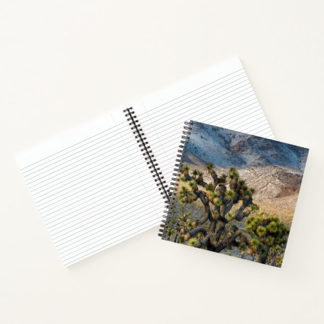 Schnee im Todestal Notizbuch (Innenseite)