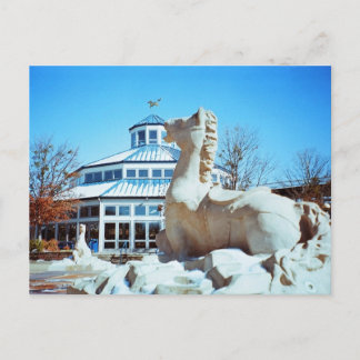 Schnee in Coolidge Postkarte