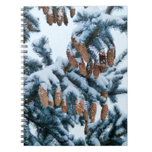 Schnee in den Pines-Notebooks Notizblock