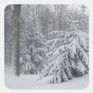 Schnee in New England Sticker