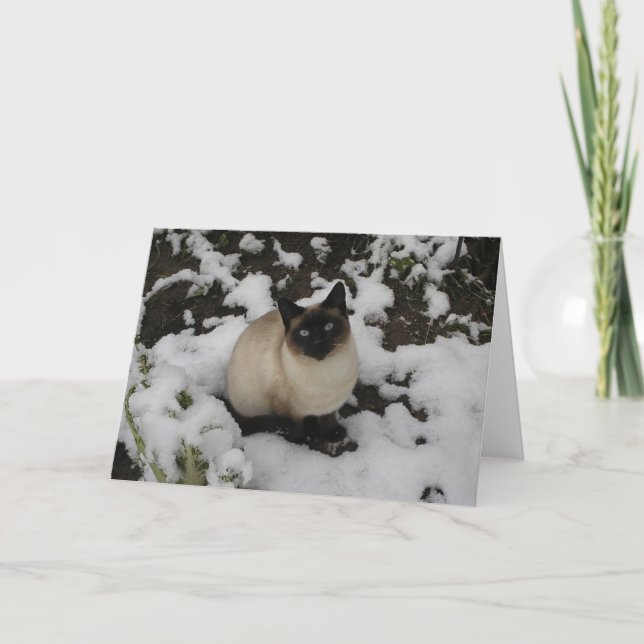 Schnee-Katze Karte (Vorderseite)