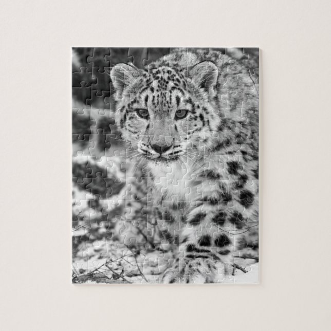 Schnee-Leopard (Vertikal)