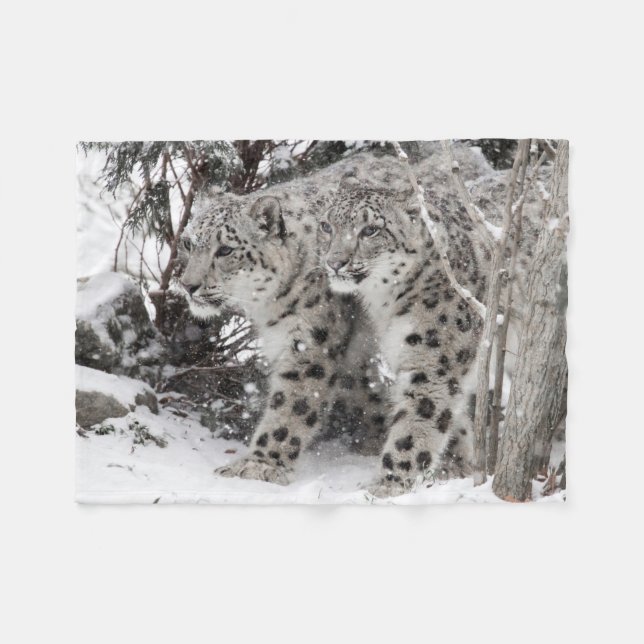 Schnee-Leopard-Bruder-Gehen Fleecedecke (Vorderseite (Horizontal))