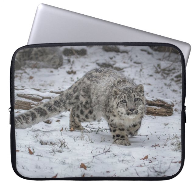 Schnee-Leopard-CUB-Anpirschen Laptopschutzhülle (Vorderseite)