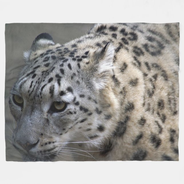 Schnee-Leopard-Fleece-Decke, groß Fleecedecke (Vorderseite (Horizontal))