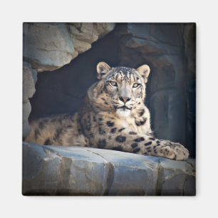Schnee-Leopard Magnet